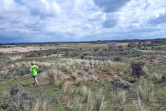 07-Uitzicht-vanaf-Haasvelder-Kijkberg