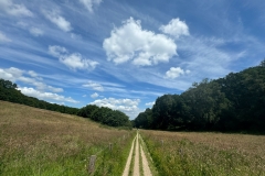 WhatsApp-Image-2024-06-09-at-12.58.52