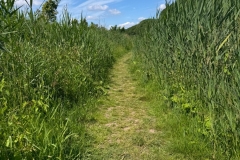 WhatsApp-Image-2024-06-09-at-12.58.54