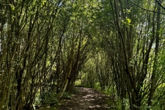 WhatsApp-Image-2024-06-09-at-12.58.55