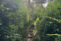 WhatsApp-Image-2024-06-09-at-12.58.57-1