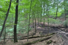 WhatsApp-Image-2024-06-09-at-12.59.16-1