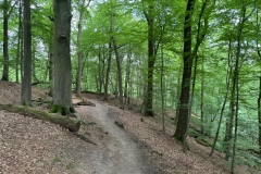 WhatsApp-Image-2024-06-09-at-12.59.16