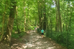 WhatsApp-Image-2024-06-09-at-13.03.41