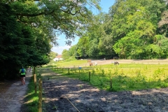 WhatsApp-Image-2024-06-09-at-13.03.53-1