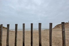 WhatsApp-Image-2025-11-29-at-11.35.36-5