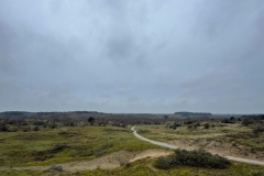 WhatsApp-Image-2025-11-29-at-11.35.37-1